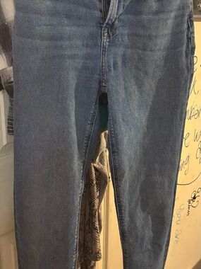 American Eagle Outfitters Blue Denim Jeans